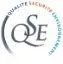 qse-neb